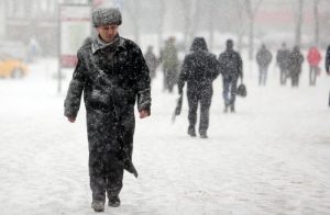 Фото: "Вечерняя Москва"