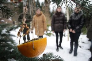 Фото: архив, "Вечерняя Москва"