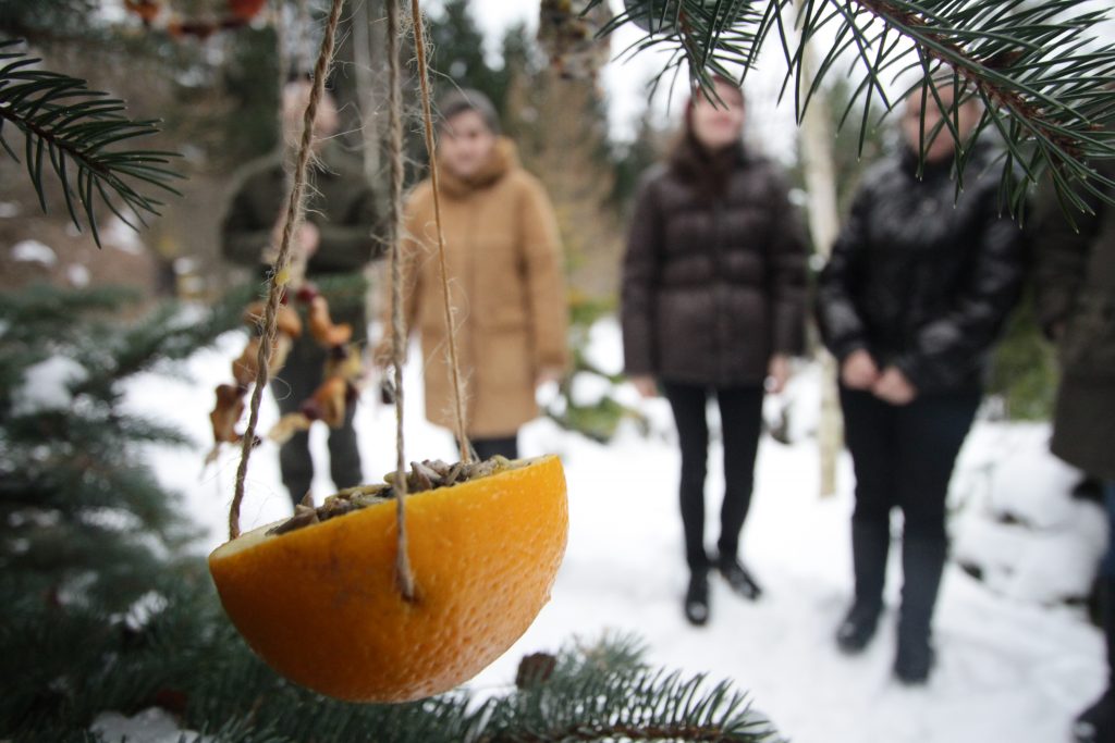 Кормушки для птиц научат делать в библиотеках Южного округа