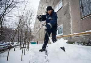 Фото: "Вечерняя Москва"