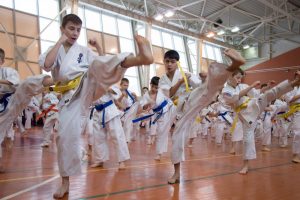 Школа боевых искусств "Тигр" открылась на базе центра досуга и спорта "Южный". Фото: архив, "Вечерняя Москва"