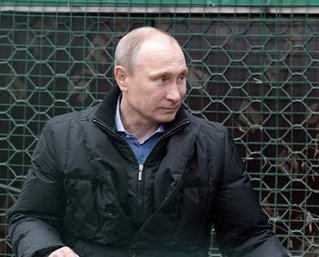 Владимир Путин вернется в Москву после двух ночей в тайге