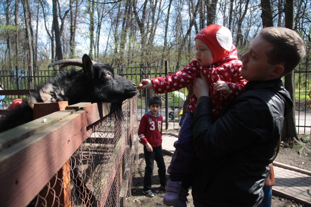 Помогаем и жителям, и городу