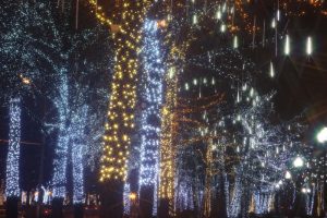 Гирлянды на деревьях перестанут гореть с начала апреля. Фото: архив "Вечерняя Москва" Гирлянды на деревьях перестанут гореть с начала апреля. Фото: архив "Вечерняя Москва"