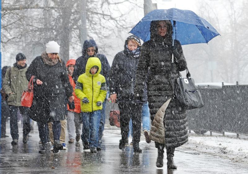 За ночь в Москве выпало свыше четверти месячной нормы осадков