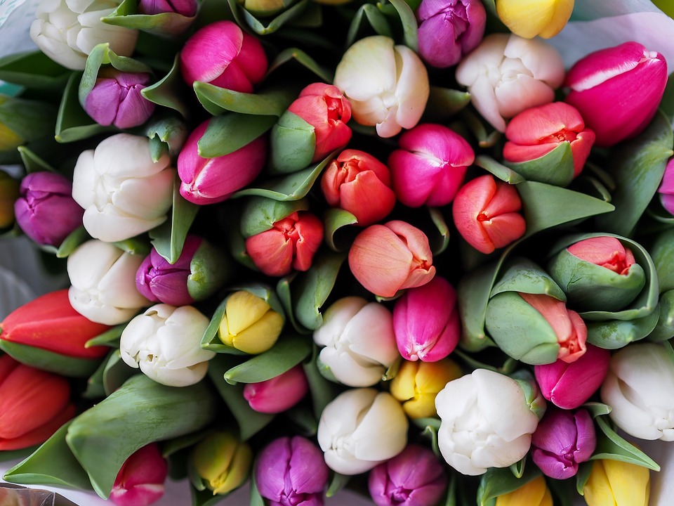 Цветы к 8 Марта будут продавать в двух тысячах точек Москвы