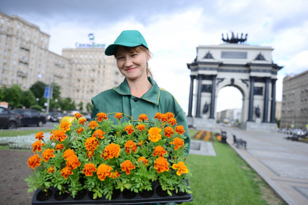 Город цветов москва