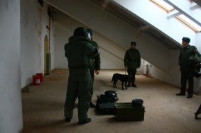 Бомбу обезвредили в жилом доме Санкт-Петербурга