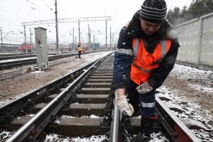 Фото: Павел Волков