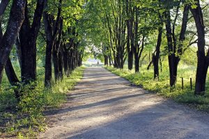 На юге Москвы появится сквер имени Чингиза Айтматова. Фото: Pixabay.com На юге Москвы появится сквер имени Чингиза Айтматова. Фото: Pixabay.com