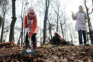 К субботнику присоединятся все жители округа. Фото: архив, «Вечерняя Москва»