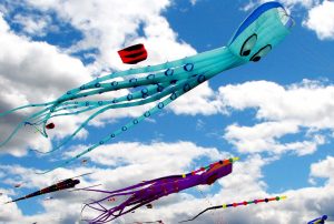 На фестивале в небо запустят змеев разных форм и размеров: осьминогов, медведей и тридцатиметрового кита. Фото: pixabay.com