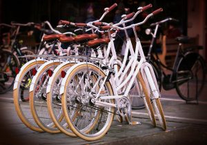 Начинающие политики выступают за развитие велодорожной сети. Фото: pixabay.com