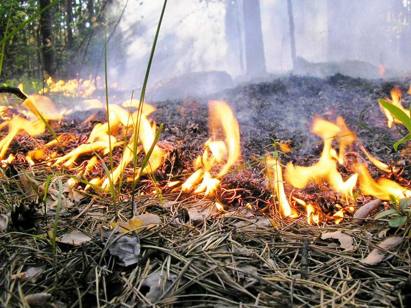 Уважаемые жители и гости столицы