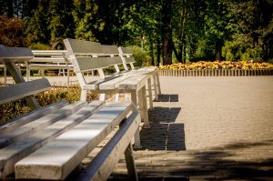 В парках проложат велодорожки и пешие маршруты для прогулок. Фото: Pixabay.com В парках проложат велодорожки и пешие маршруты для прогулок. Фото: Pixabay.com
