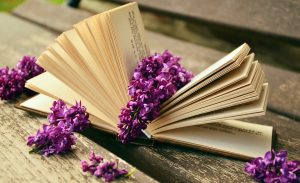 Борис Хигир написал более двадцати книг об имени человека. Фото: pixabay.com Борис Хигир написал более двадцати книг об имени человека. Фото: pixabay.com