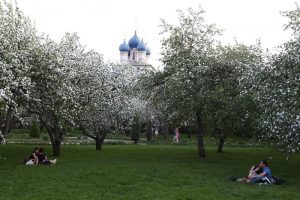 В «Борисовских прудах» зацвели яблони. Фото: архив, «Вечерняя Москва» В «Борисовских прудах» зацвели яблони. Фото: архив, «Вечерняя Москва»