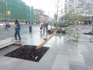 Фото: «Вечерняя Москва»