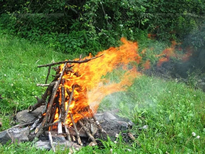 Управление по ЮАО Департамента ГОЧСиПБ напоминает, как надо вести себя в случае лесного пожара