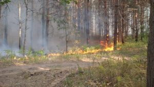 Фото: пресс-служба Управления по ЮАО Департамента ГО ЧС и ПБ