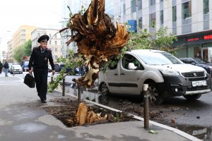 Росгосстрах оценил ущерб от шквала в Москве