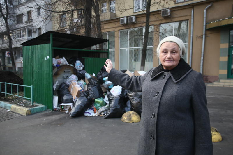 День эколога: как быть, если планета умирает