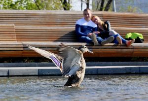 В выходные дни будет облачно. Фото: "Вечерняя Москва"