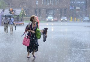 Синоптики окрестили надвигающийся ливень «ветхозаветным» потопом. Фото: Наталья Феоктистова Синоптики окрестили надвигающийся ливень «ветхозаветным» потопом. Фото: Наталья Феоктистова