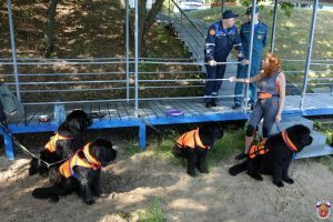 Собак-спасателей распределят по 10 пляжам. Фото: пресс-служба ГУ МЧС по Москве