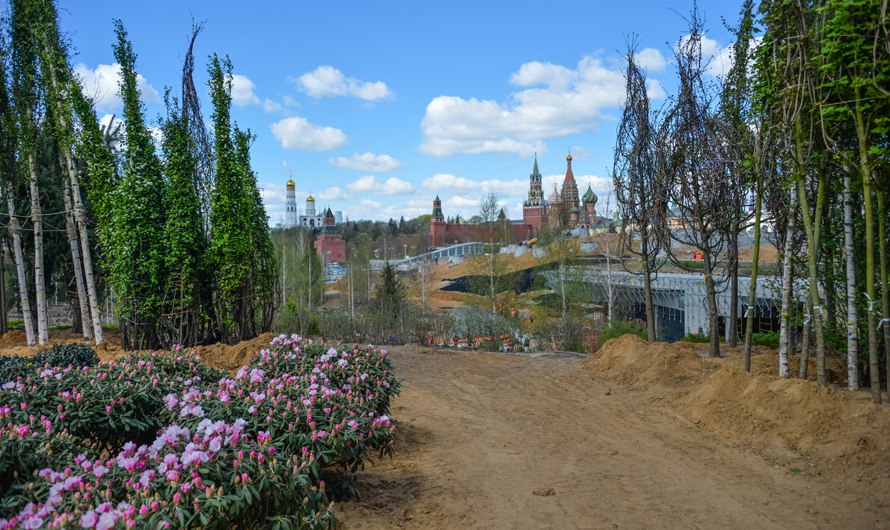 Парк «Зарядье» в центре Москвы получил 700 деревьев