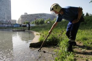 Каждый может стать участником или организатором уборки водоемов. Фото: Антон Гердо