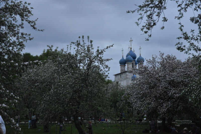 Исследовать мистический овраг в «Коломенском» предложили на экскурсии