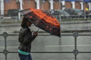 Сильный ветер и осадки не покидают Москву. Фото: Наталья Феоктистова, «Вечерняя Москва»