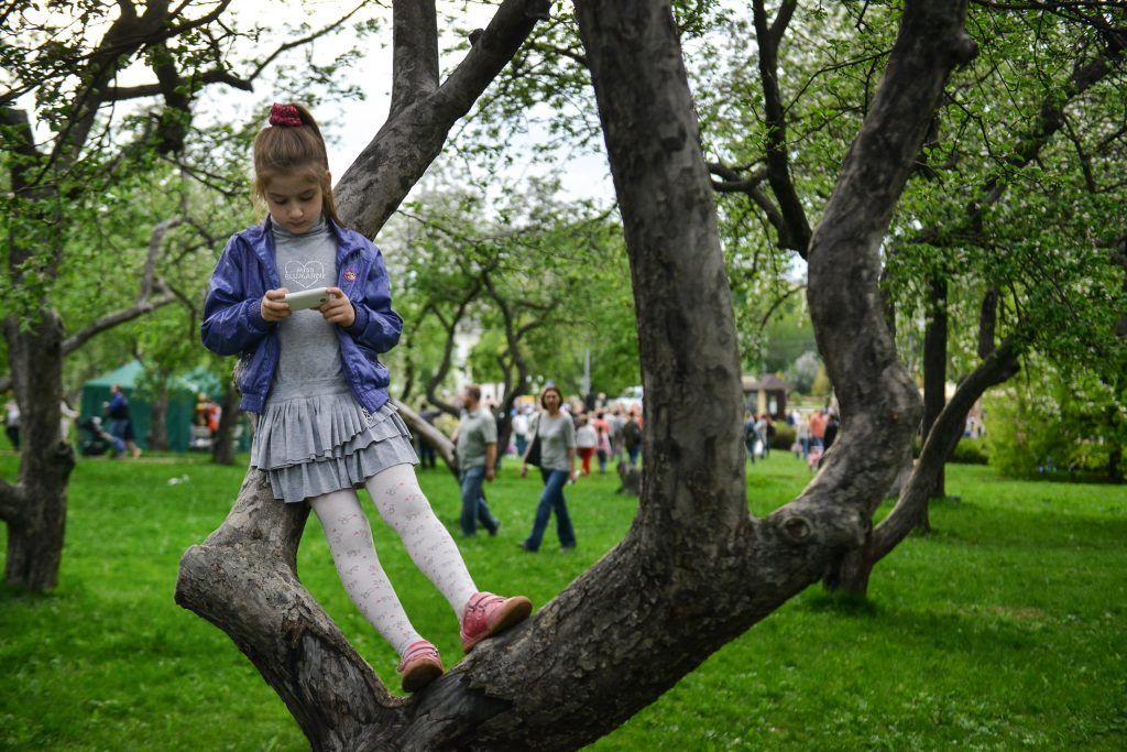 Почти 130 парков благоустроят ко Дню города