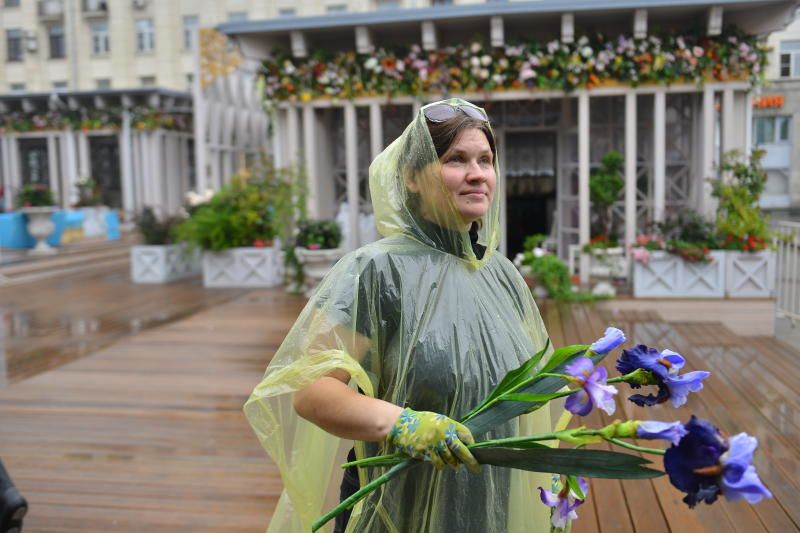 Дождь и жару обещают на выходные в Москве