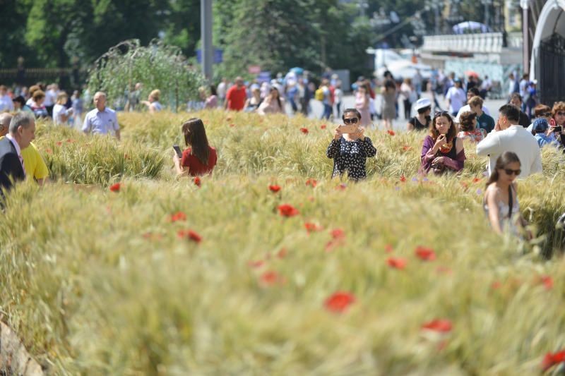 Улицы города украсили работами финалистов конкурса городского ландшафтного дизайна