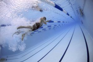 Воспитанник школы «Юность Москвы» взял золото на европейском турнире по прыжкам в воду. Фото: pixabay.com
