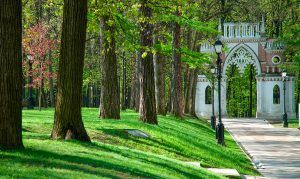 В Царицынском парке модернизируют площадку. Фото: архив, «Вечерняя Москва»