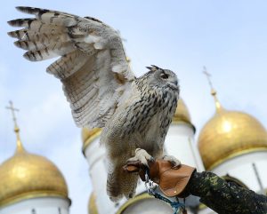 В решении прослеживается дань уважения княжеским традициям Москвы. Фото: Наталья Феоктистова