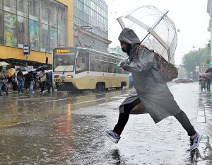 Фото: Светлана Колоскова, «Вечерняя Москва»