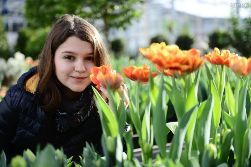 Более 12 миллионов луковиц тюльпанов закупят для оформления цветников Москвы