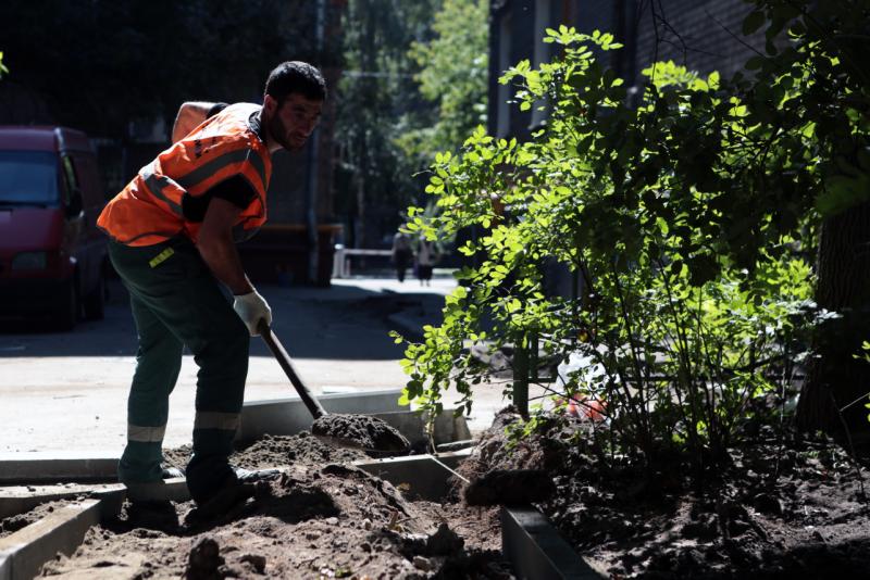 Более 20 деревьев высадят во дворах в Нагатино-Садовниках