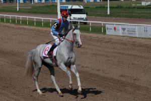 В поселке Северный построят конно-спортивный комплекс. Фото: архив, "Вечерняя Москва"