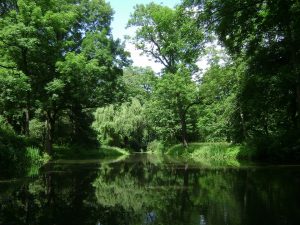 Экологический марафон пройдет на территории природных парков Москвы. Фото: pixabay.com Экологический марафон пройдет на территории природных парков Москвы. Фото: pixabay.com