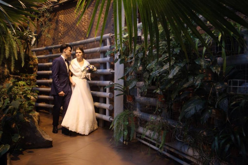 В Московском зоопарке прошла первая церемония бракосочетания
