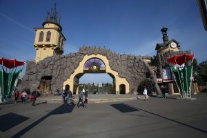 Взглянуть на юного хищника можно в местном «Экзотариуме». Фото: Антон Гердо Взглянуть на юного хищника можно в местном «Экзотариуме». Фото: Антон Гердо