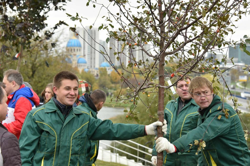 Более пяти тысяч дубов и берез появятся в центре Москвы к зиме
