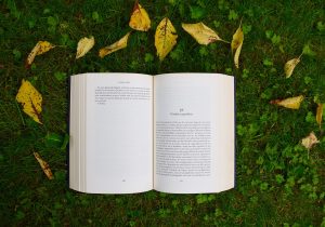 Почти 248 тысяч списанных книг было забрано москвичами из городских библиотек. Фото: pixbay Почти 248 тысяч списанных книг было забрано москвичами из городских библиотек. Фото: pixbay