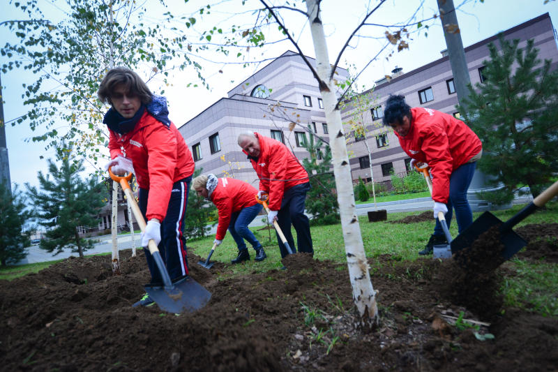 Более 70 деревьев высадят в районе Нагорный этой осенью