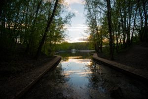 Фото: «Вечерняя Москва»